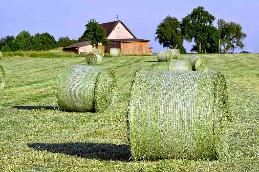 dünger gegen moos im rasen HaGaFe Rasendünger Moos- und Unkraut-Stopp, Rasen main image 1